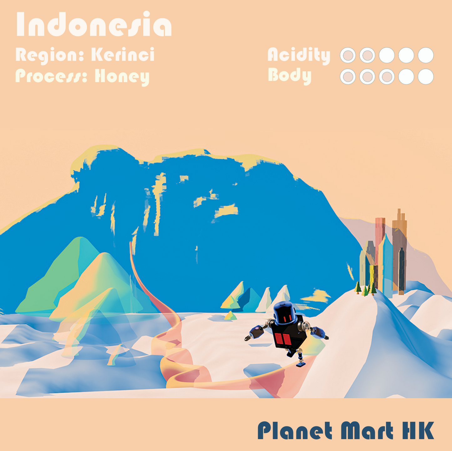 Indonesia Kerinci (Honey Process) drip bag